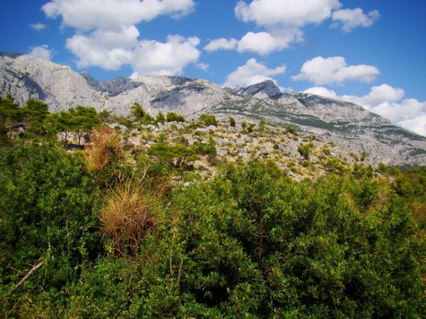 Makarska