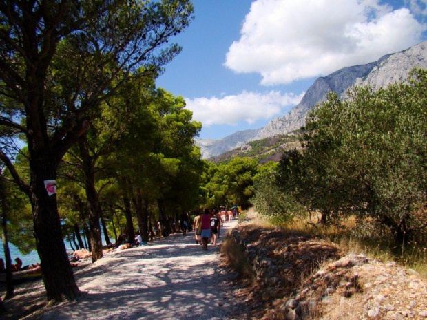 Makarska