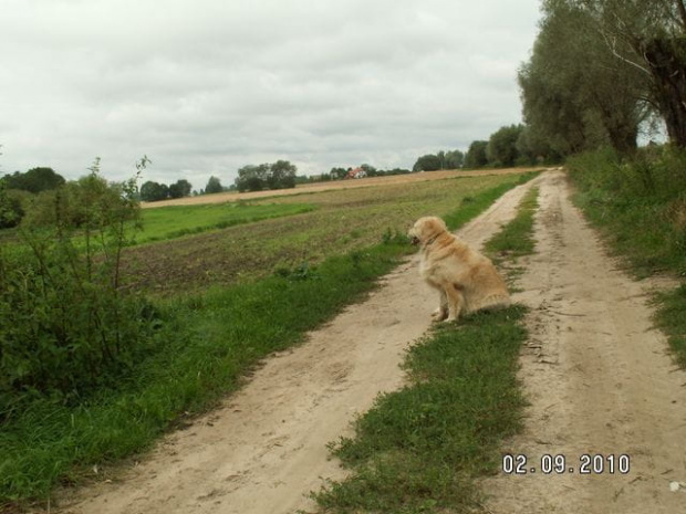 coś mi ta pozycja i to miejsce przypomina