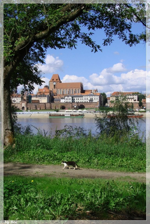 #Toruń #NajpiękniejszaPanorama #miasta #zwiedzanie #zabytki #gotyk #wakacje