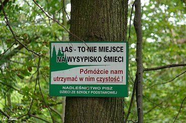 Okolice schronu biernego i schronu dla działa #Schron #śmieci