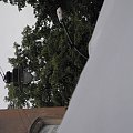 Ogólnopolskie Dni Integracji, Festiwal Zaczarowanej Piosenki,Kraków 12-14 czerwca 2009