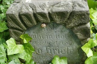 Bralin cmentarz ewangelicki #Bralin