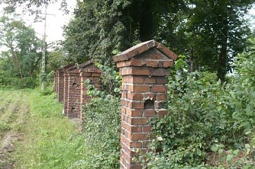 Bralin cmentarz ewangelicki #Bralin