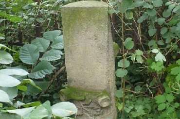 Bralin cmentarz ewangelicki #Bralin