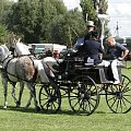 Mistrzostwa Polski Młodych Koni w Powożeniu ; 5 września 2010 - Hipodrom Gogolewo