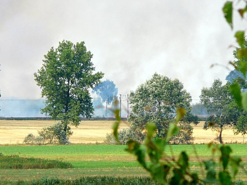 Zbliżenie pokazuje, że płonie zboże na polu za Traktem Napoleońskim. Widać płomienie. #krajobrazy