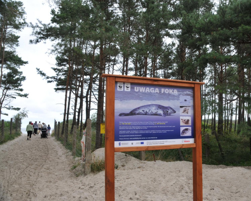 Niechorze - okolice Kaprysu i ulicy Wschodniej