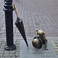 #Toruń #Filuś #pies #kapelusz #parasol