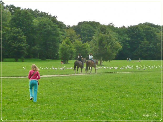 Jedni na koniach, inni na pieszo - i wszyscy maja frajde...:)))