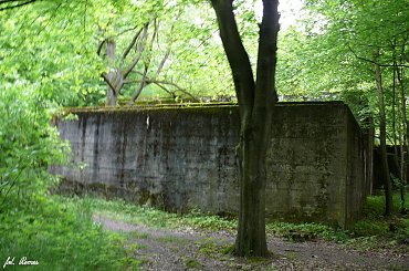 Konewka - schron kolejowy #konewka #schron