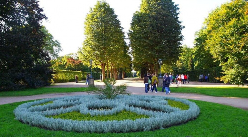 Zamek Pillnitz w Dreżnie
Piękna i zadbana zieleń przy alejkach spacerowych.