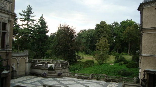 Gołuchów-widok z dziedzińca na park.