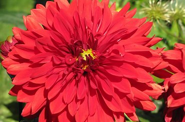 Dla wjola
Z okazji Urodzin - wszystkiego najlepszego #urodziny #zyczenia