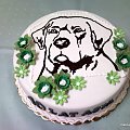 Torcik z labladorem dla Asi #lablador #pies #tort #kwiaty #zieleń #zwierzęta