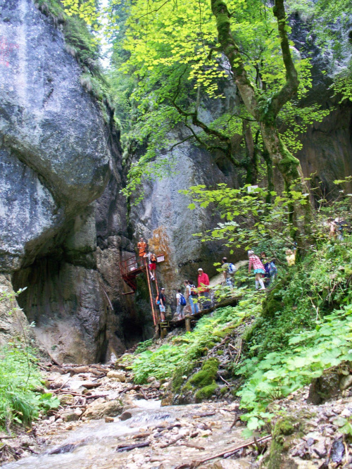 Cascada Sapte Scari (Wodospady Siedmiu Schodów)