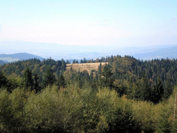 Gorce - widok z Turbaczyka na polanę Łąki #góry #beskidy #gorce #jesień #polany