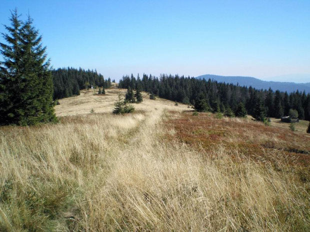 Gorce - polana Gorc Troszacki - widok od Kudłonia #góry #beskidy #gorce #jesień #polany