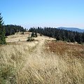 Gorce - polana Gorc Troszacki - widok od Kudłonia #góry #beskidy #gorce #jesień #polany