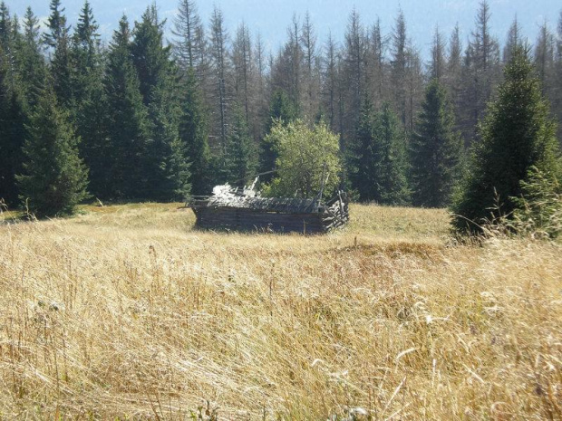 Gorce - niszczejący szałas na polanie Gorc Troszacki #góry #beskidy #gorce #jesień #polany