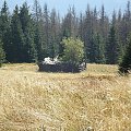 Gorce - niszczejący szałas na polanie Gorc Troszacki #góry #beskidy #gorce #jesień #polany