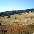Gorce - polana Gorc Troszacki - widok w kierunku Kudłonia #góry #beskidy #gorce #jesień #polany