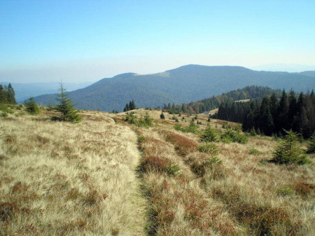Gorce - polana Gorc Porębski i widok na Gorc #góry #beskidy #gorce #jesień #polany
