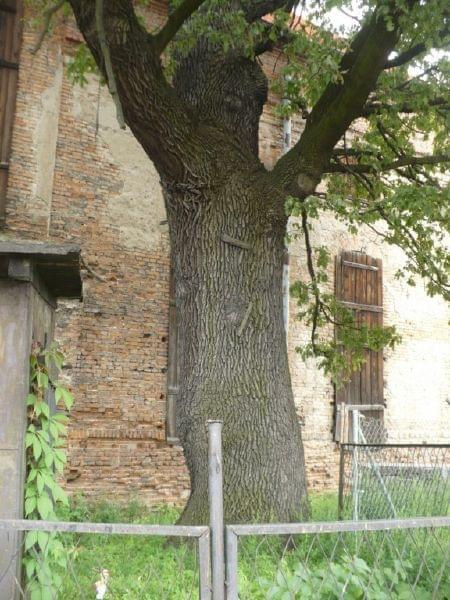 Kępno synagoga