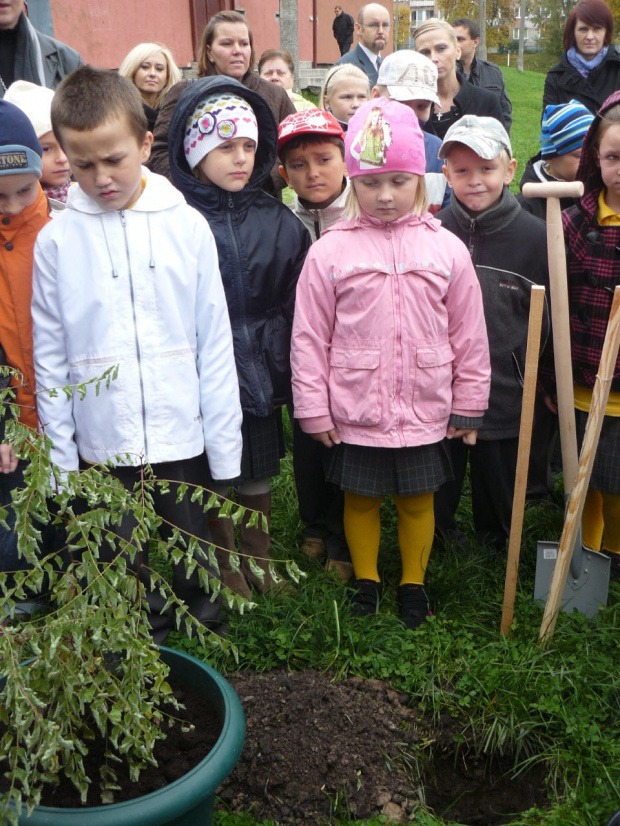 uroczystość pasowania na ucznia z udziałem ministra Z.Włodkowskiego, połączona z zasadzeniem drzew #Ślubowanie585Drzewa