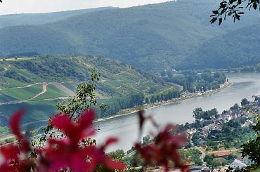 Gedeons Eck panorama na rzeke Rhein ( Ren) z tarasu restauracji na zakolu w okolicach Boppard. #GedeonsEck #panorama #Deutschland #Niemcy #rzeka #Rhein #Ren #Boppard