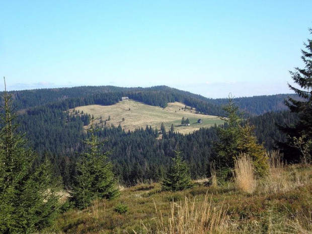 Gorce - Hala Długa z Czoła Turbacza #góry #beskidy #gorce #polany #jesień