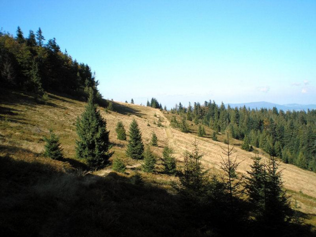 Gorce - polana Turbaczyk #góry #beskidy #gorce #polany #jesień