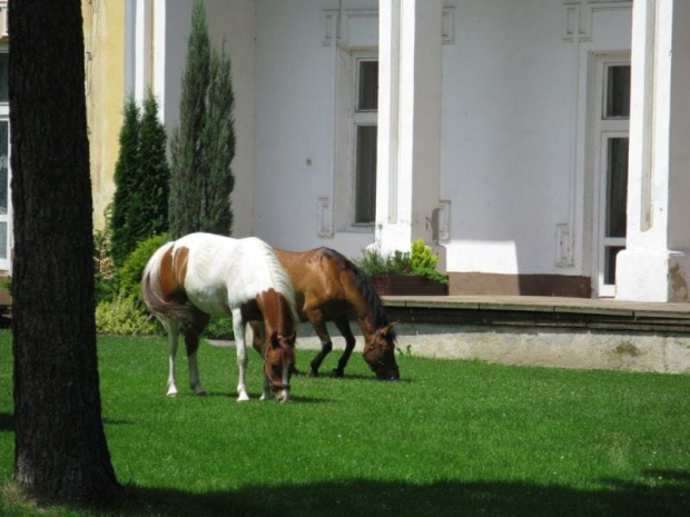 Zbylitowska Góra (małopolskie)