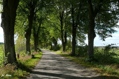 Mazury