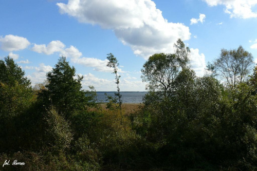 Mazury