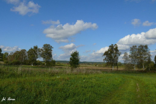 Mazury