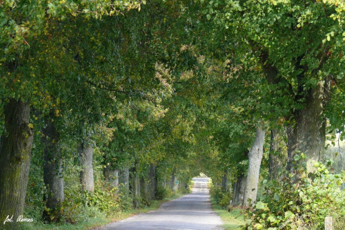 Mazury