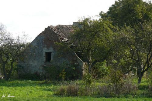 Mazury