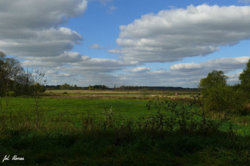 Mazury