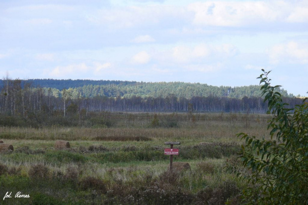 Mazury