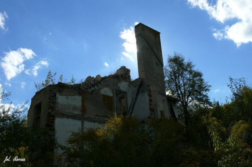 Gruneberg / Matyszczyki - ruiny dworu #Gruneberg #Matyszczyki