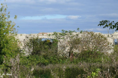 Gruneberg / Matyszczyki - ruiny dworu #Gruneberg #Matyszczyki