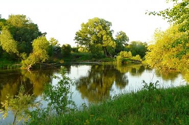 Warta w okolicach Lubonia. #krajobraz #rzeka #Warta