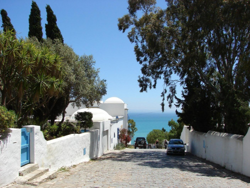 Tunezja - wioska Sidibousaid 13/05/2009r