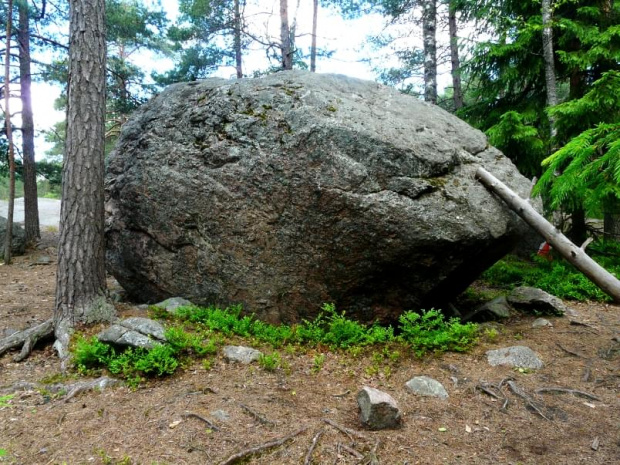 Bardzo dużo lasów w Finlandii rośnie na podłożu skalistym.
Tutaj las w Espoo i można spotkać takie głazy. #las