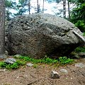 Bardzo dużo lasów w Finlandii rośnie na podłożu skalistym.
Tutaj las w Espoo i można spotkać takie głazy. #las