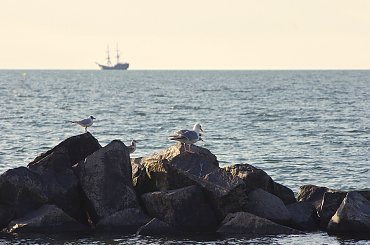 do morza będę wracać co pewien czas; to będzie taki wspomnieniowy przerywnik :) #morze #Bałtyk #mew #statek #Darłówko