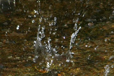 #deszcz #krople #czereśnie