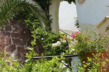 #Kreta #wyspa #Santorini #wyprawa #natura #mozre #ocean #zatoka #port #domy #biale #kolory #romantycznie