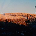 1.02.2003 ok. 16 godz.
Zejście ze Śnieżnika. Ośnieżony las w promieniach zachodzącego słońca. #góry #Śnieżnik